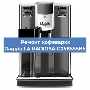 Чистка кофемашины Gaggia LA RADIOSA C058555B5 от кофейных масел в Москве